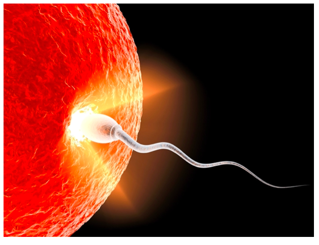 The spark of the devine in all of us